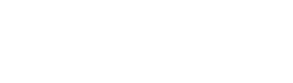 Logo Ion City